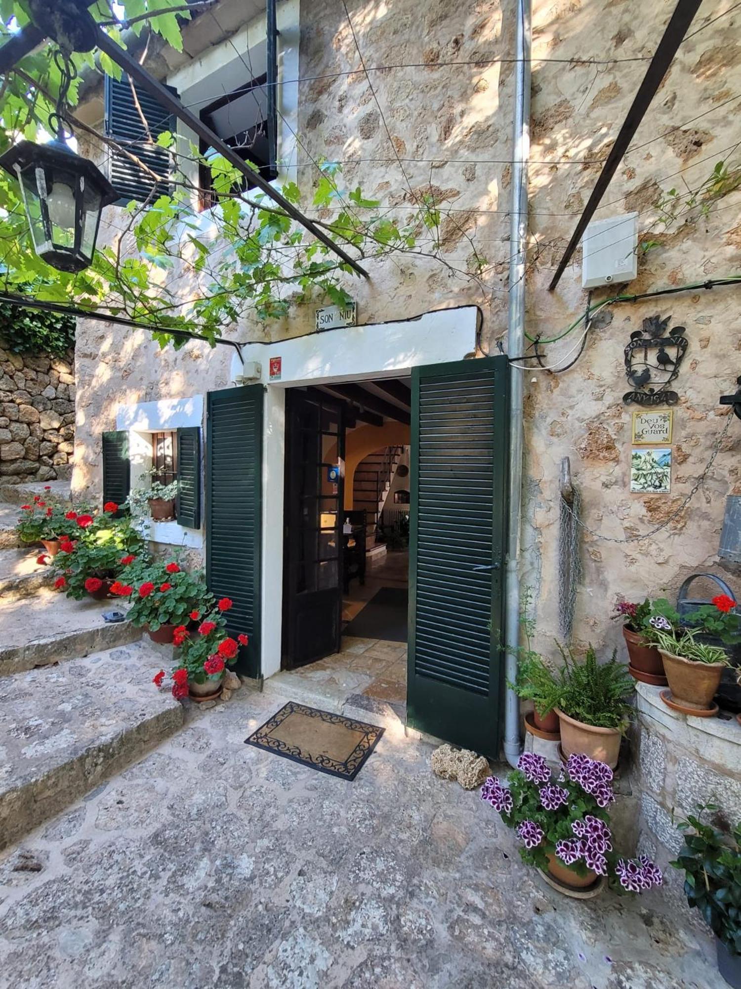 Son Niu Vell-La Hermossa Valldemossa Kültér fotó